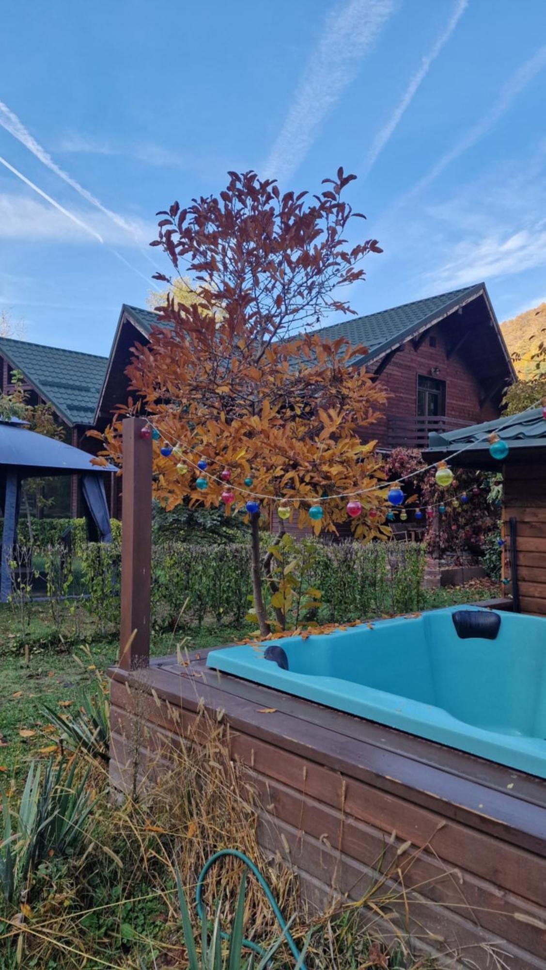 Guest house Pensiunea Terra Nova 3*