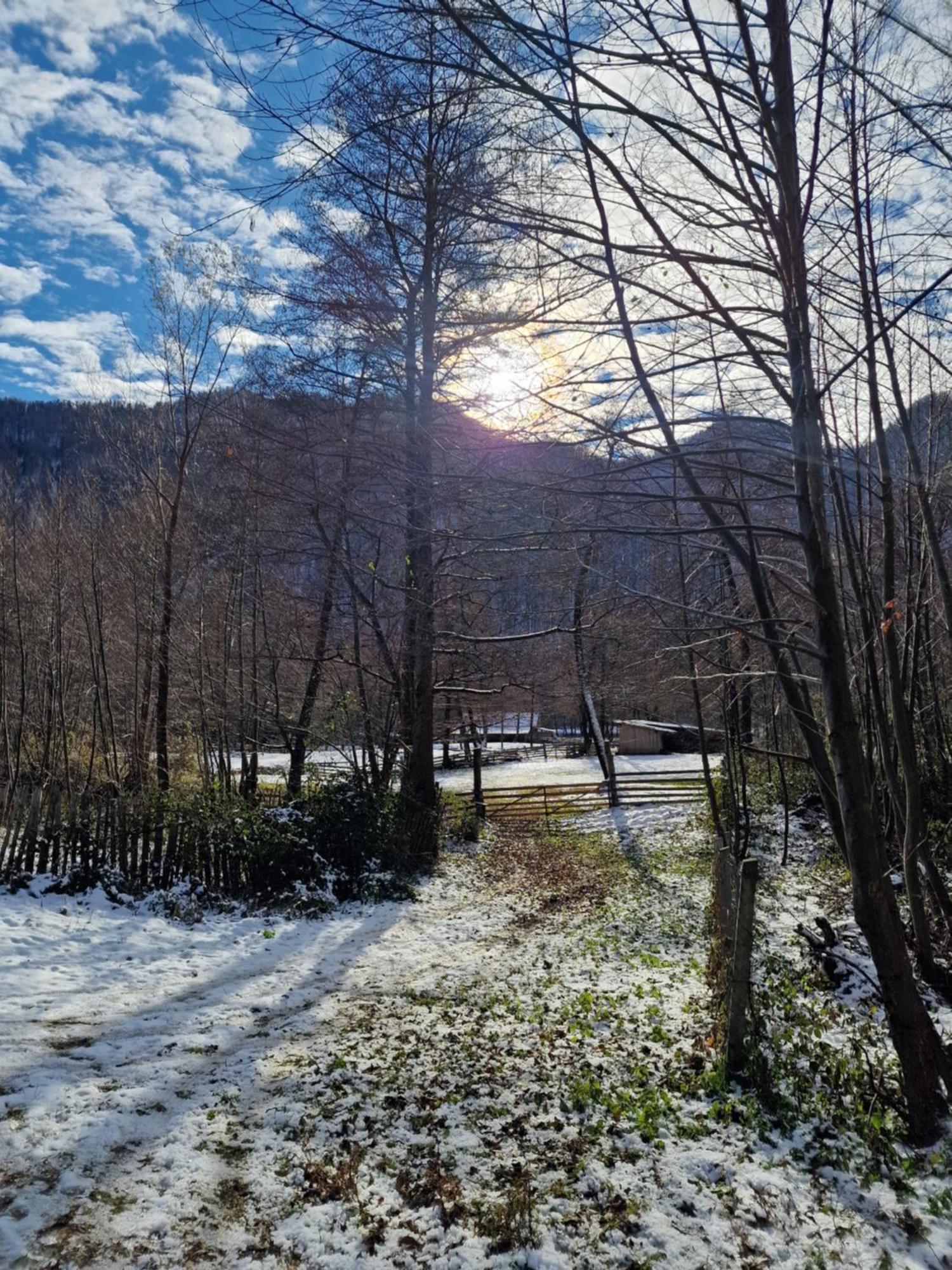 Pensiunea Terra Nova Brezoi