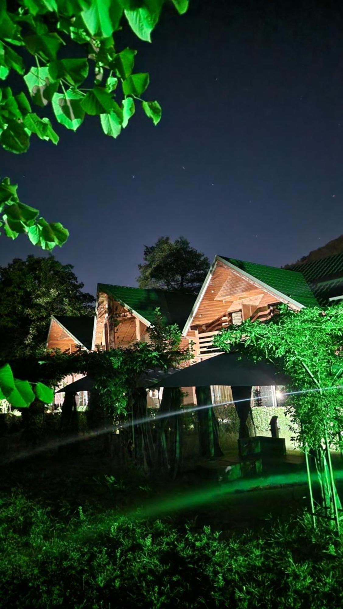 Guest house Pensiunea Terra Nova 3*