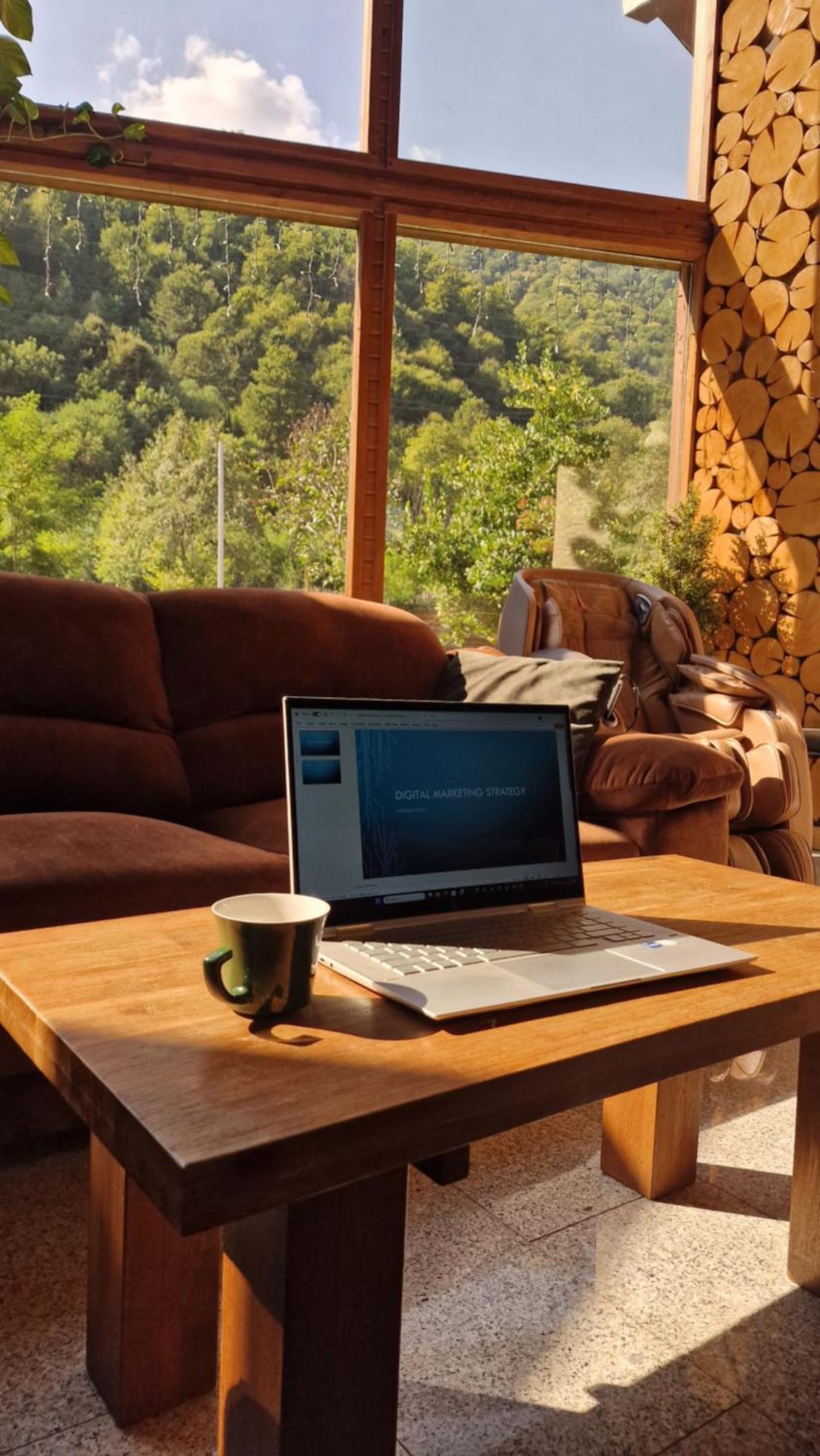 Pensiunea Terra Nova Guest house