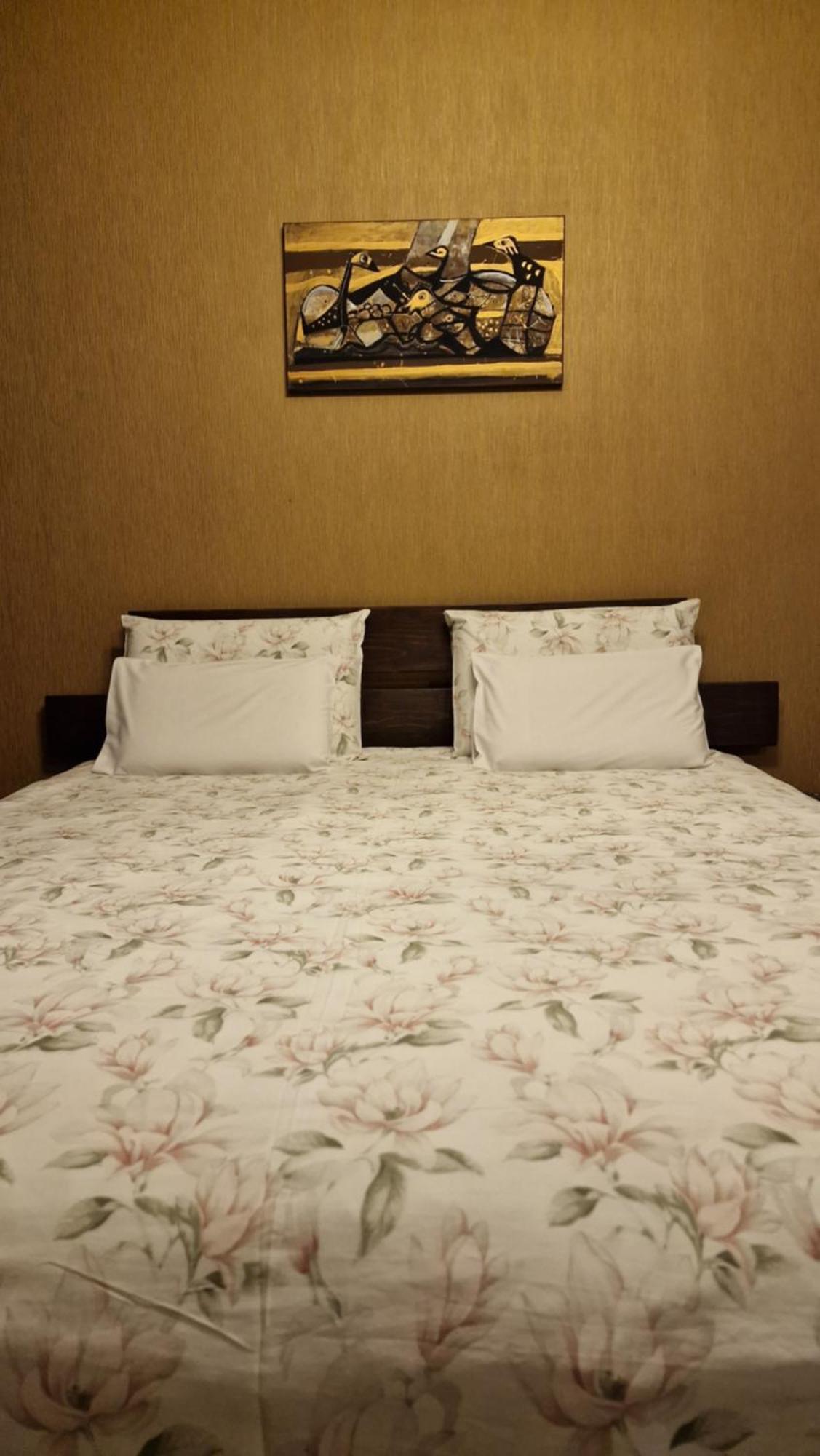 Guest house Pensiunea Terra Nova Brezoi