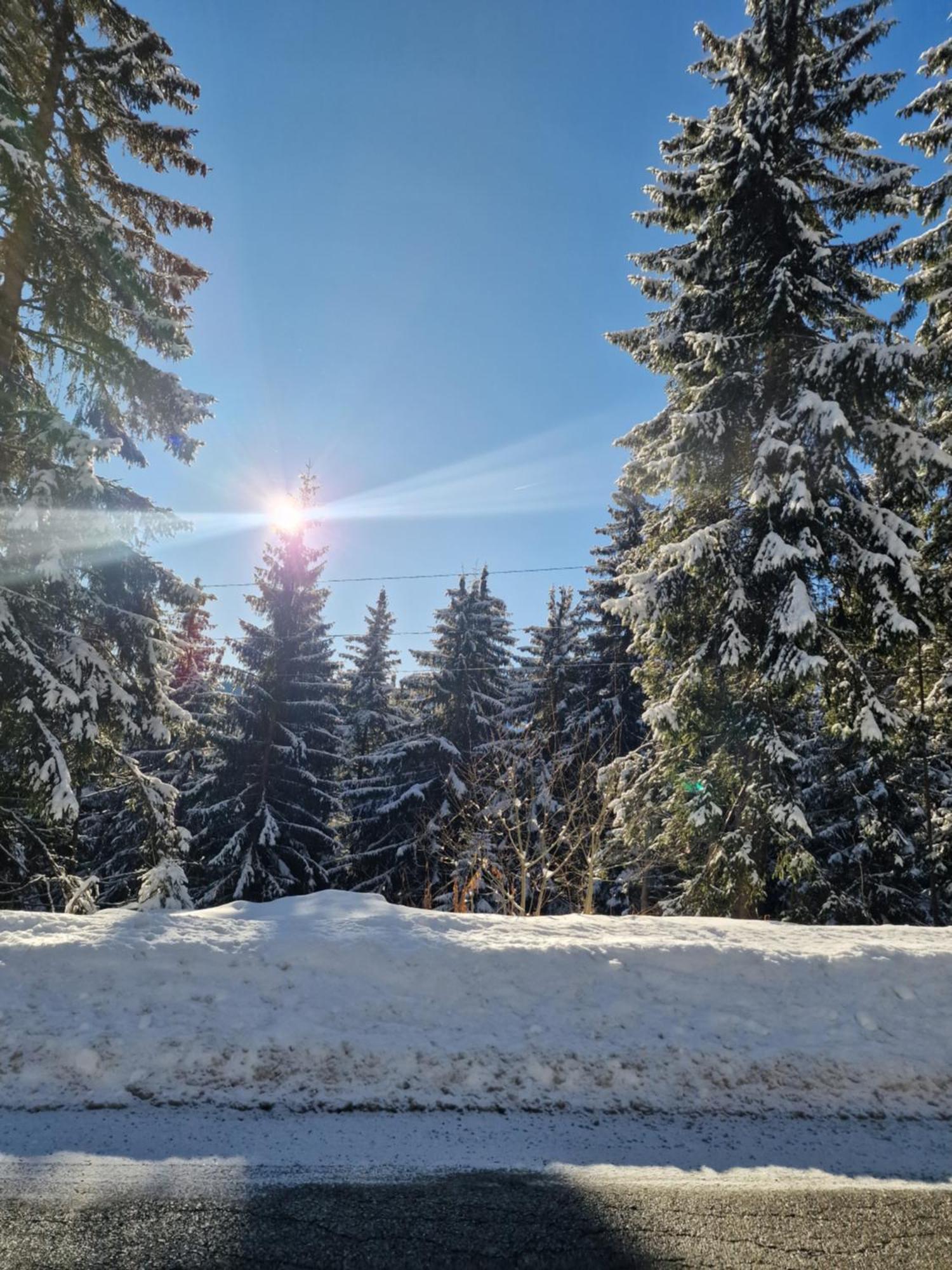 Pensiunea Terra Nova Brezoi