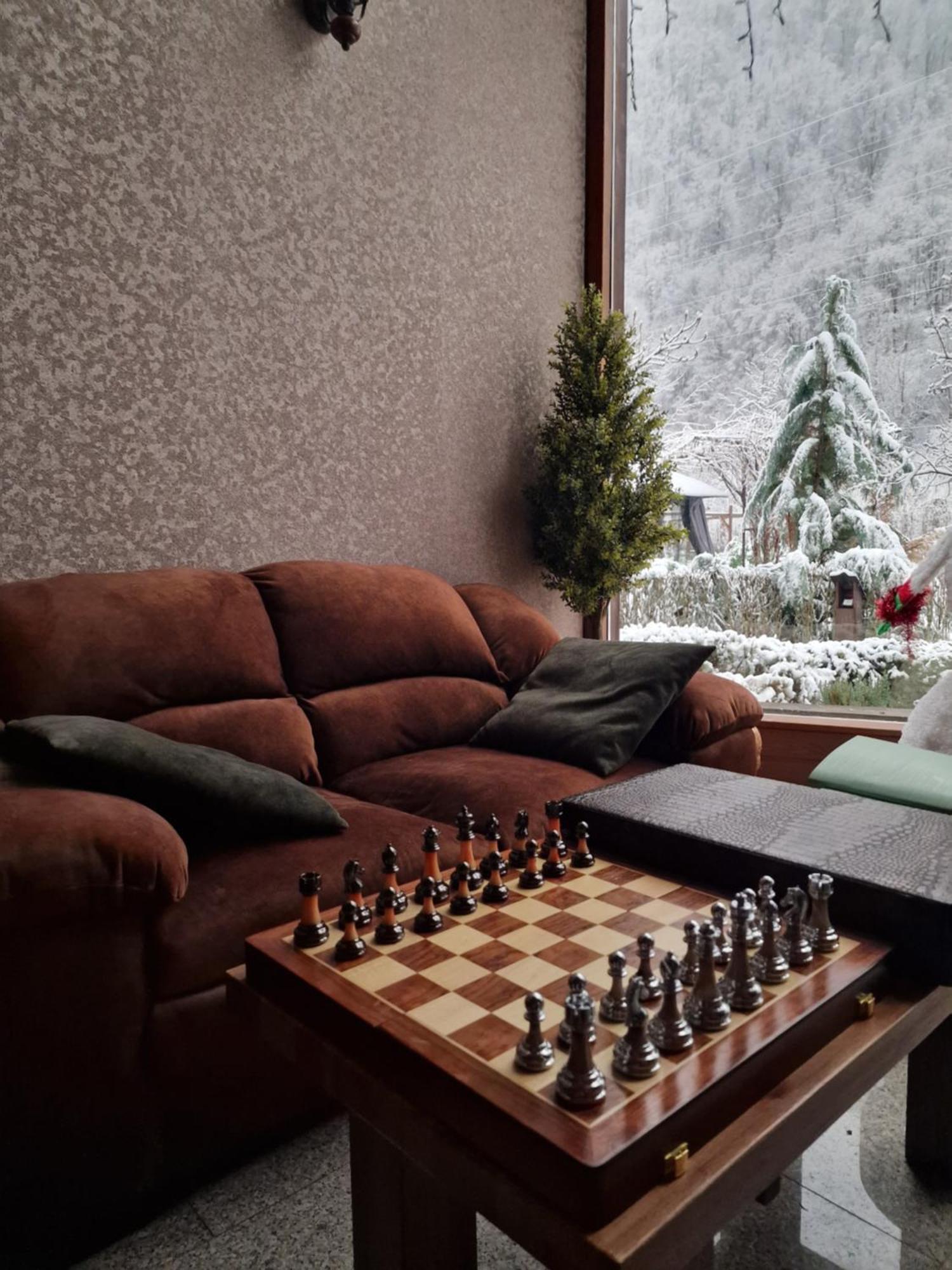 Guest house Pensiunea Terra Nova