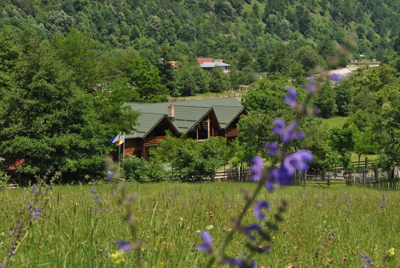 Pensiunea Terra Nova Guest house