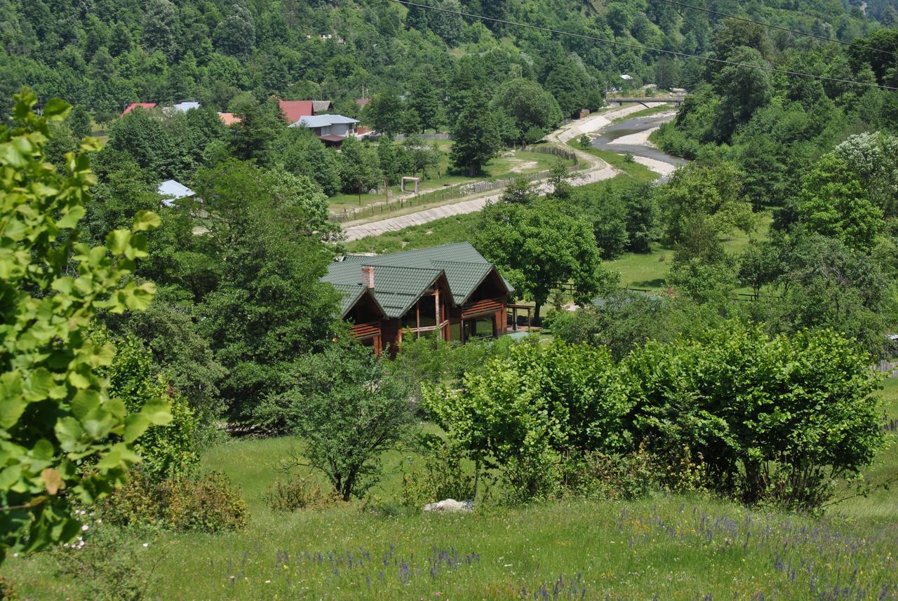 Pensiunea Terra Nova 3* Brezoi