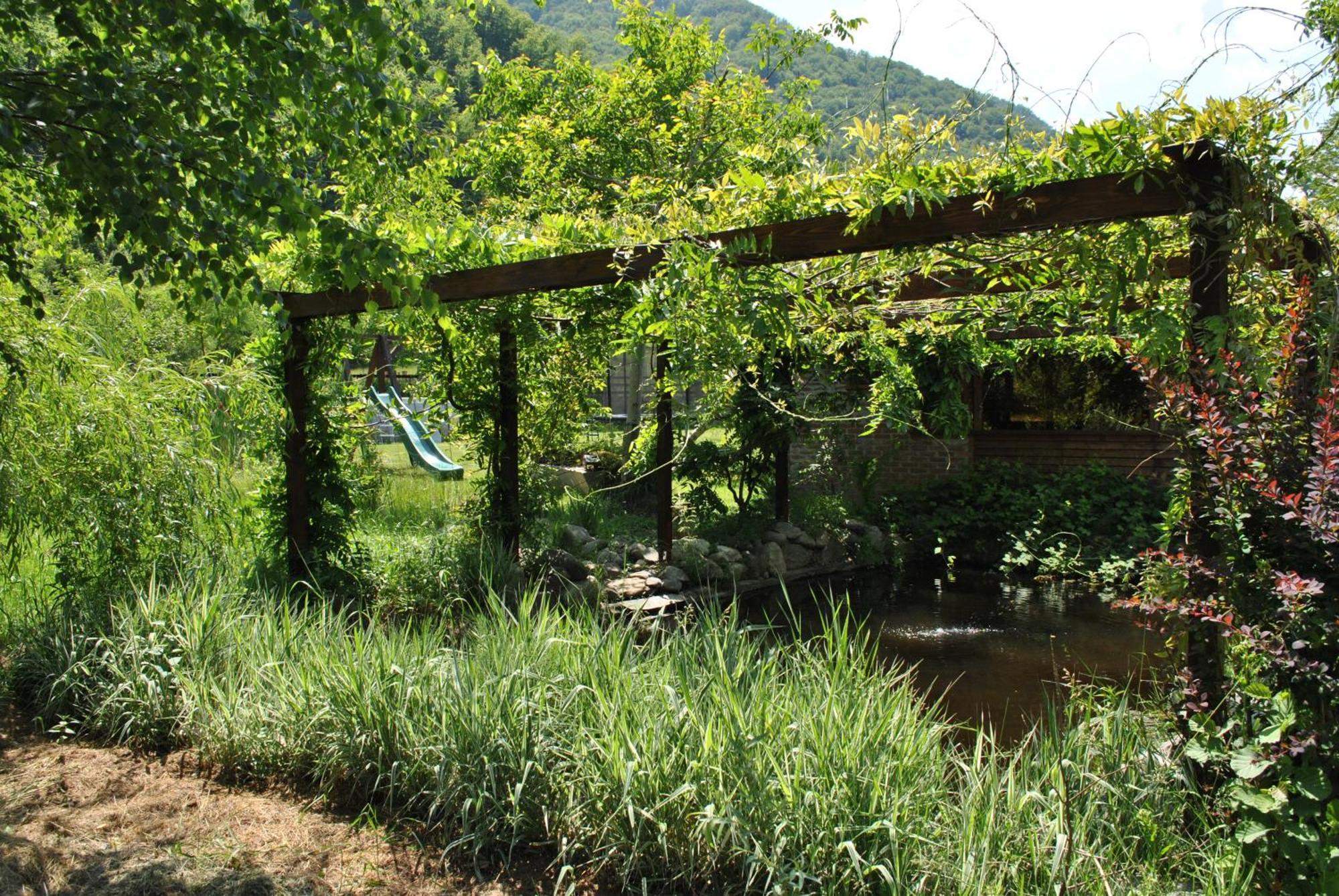 Pensiunea Terra Nova Guest house